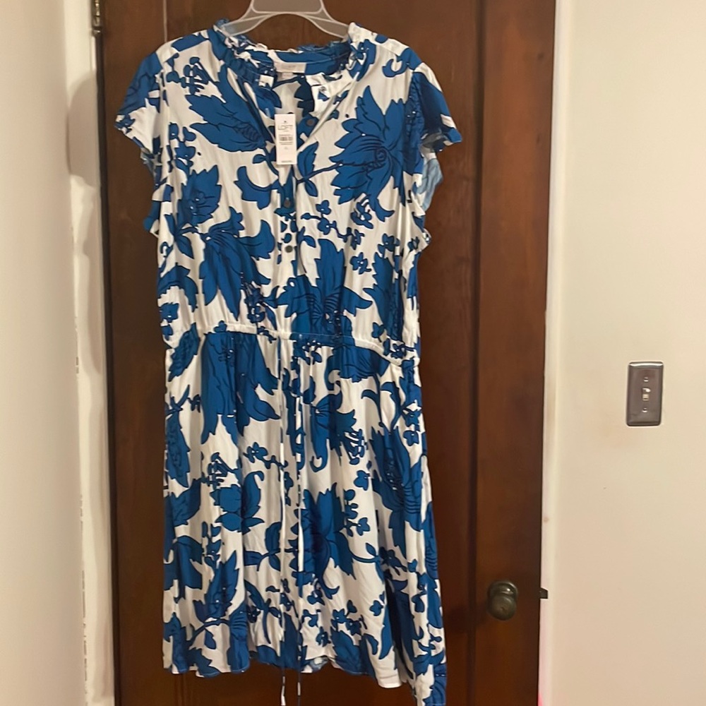 Loft dress